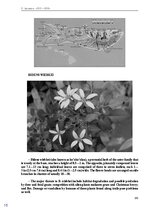 E-book 'Тайный остров', 148.