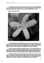 E-book 'Тайный остров', 149.