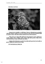 E-book 'Тайный остров', 150.