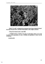 E-book 'Тайный остров', 151.