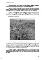 E-book 'Тайный остров', 153.