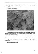 E-book 'Тайный остров', 154.