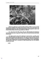 E-book 'Тайный остров', 155.