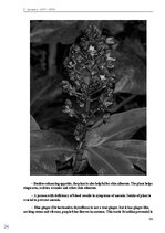 E-book 'Тайный остров', 157.
