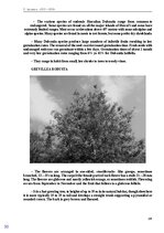 E-book 'Тайный остров', 163.