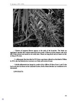 E-book 'Тайный остров', 168.