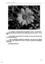 E-book 'Тайный остров', 169.