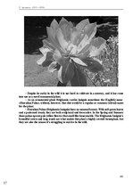 E-book 'Тайный остров', 170.