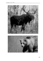 E-book 'Тайный остров', 306.