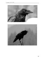 E-book 'Тайный остров', 309.