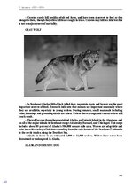 E-book 'Тайный остров', 312.