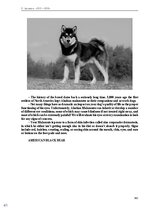 E-book 'Тайный остров', 313.