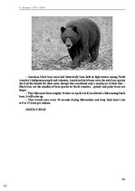 E-book 'Тайный остров', 314.