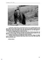 E-book 'Тайный остров', 315.