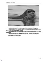 E-book 'Тайный остров', 318.