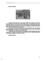 E-book 'Тайный остров', 321.