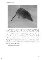 E-book 'Тайный остров', 322.