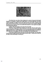 E-book 'Тайный остров', 323.
