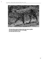 E-book 'Тайный остров', 360.
