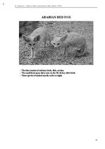 E-book 'Тайный остров', 361.