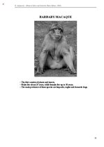 E-book 'Тайный остров', 362.
