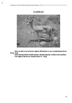 E-book 'Тайный остров', 366.