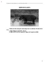 E-book 'Тайный остров', 367.