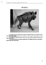 E-book 'Тайный остров', 368.