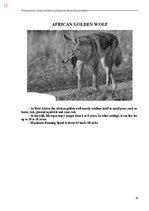 E-book 'Тайный остров', 370.