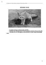 E-book 'Тайный остров', 371.