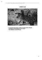 E-book 'Тайный остров', 372.
