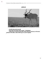 E-book 'Тайный остров', 373.
