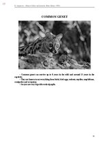 E-book 'Тайный остров', 375.