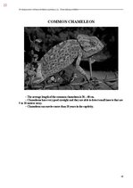 E-book 'Тайный остров', 380.