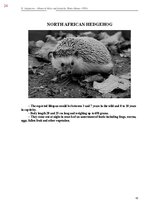 E-book 'Тайный остров', 382.