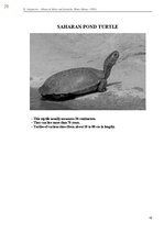 E-book 'Тайный остров', 383.