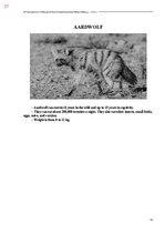 E-book 'Тайный остров', 385.
