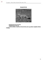 E-book 'Тайный остров', 386.