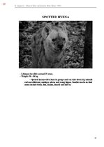 E-book 'Тайный остров', 387.