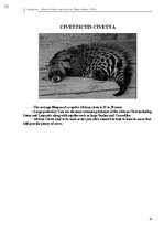 E-book 'Тайный остров', 388.