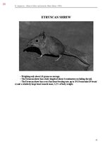 E-book 'Тайный остров', 391.