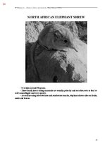 E-book 'Тайный остров', 392.