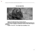 E-book 'Тайный остров', 393.
