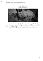 E-book 'Тайный остров', 397.