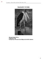 E-book 'Тайный остров', 402.