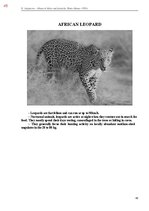 E-book 'Тайный остров', 403.