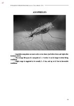 E-book 'Тайный остров', 405.