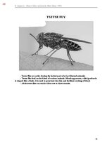 E-book 'Тайный остров', 406.