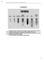 E-book 'Тайный остров', 407.