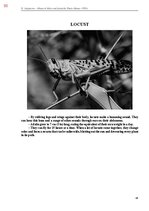 E-book 'Тайный остров', 408.